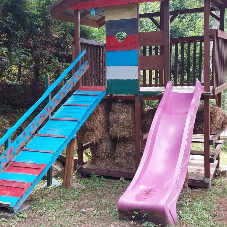 Kalmul Naturii, Iuresul Padurii Firiza ภายนอก รูปภาพ